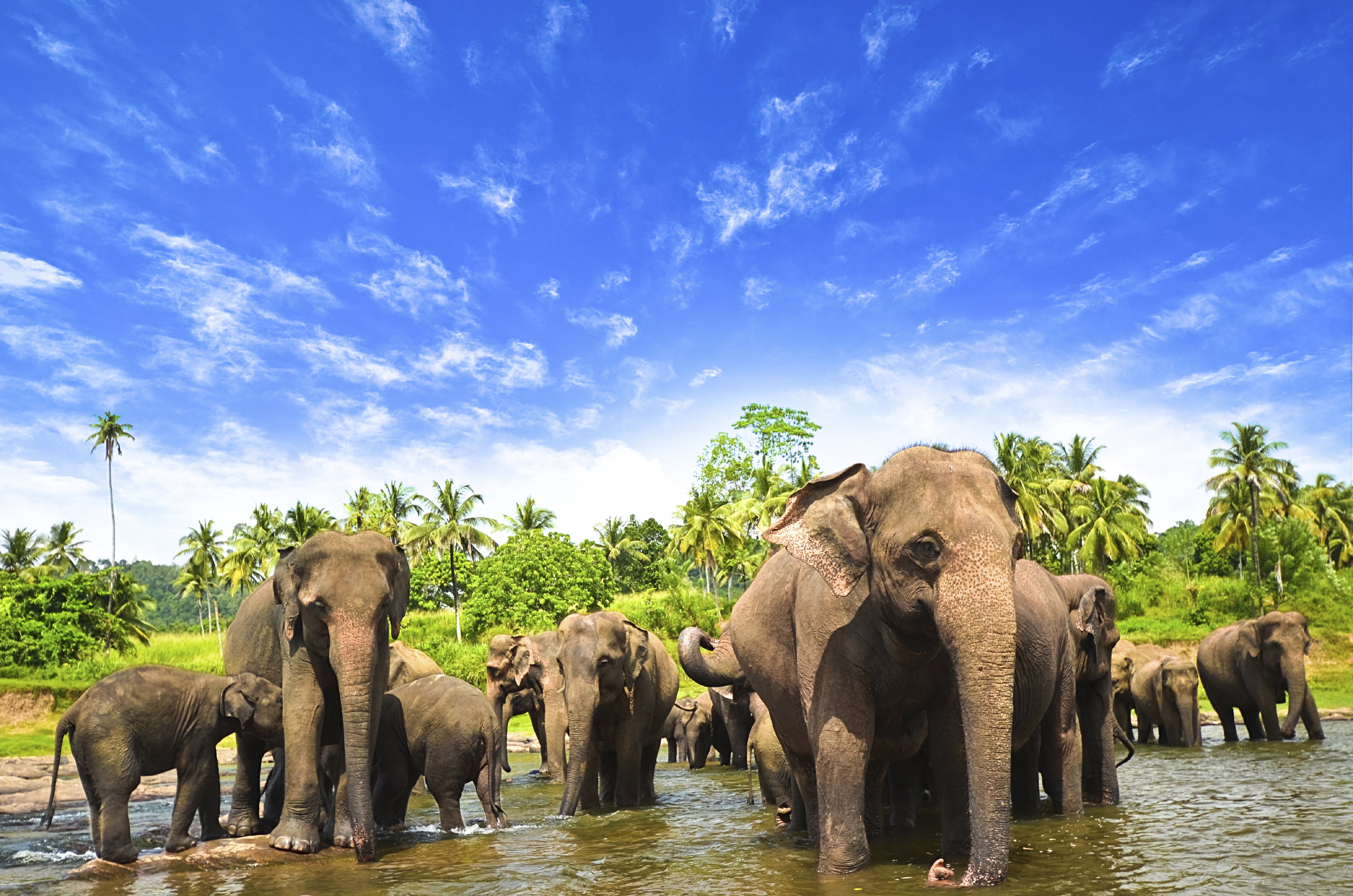 Sri Lanka
