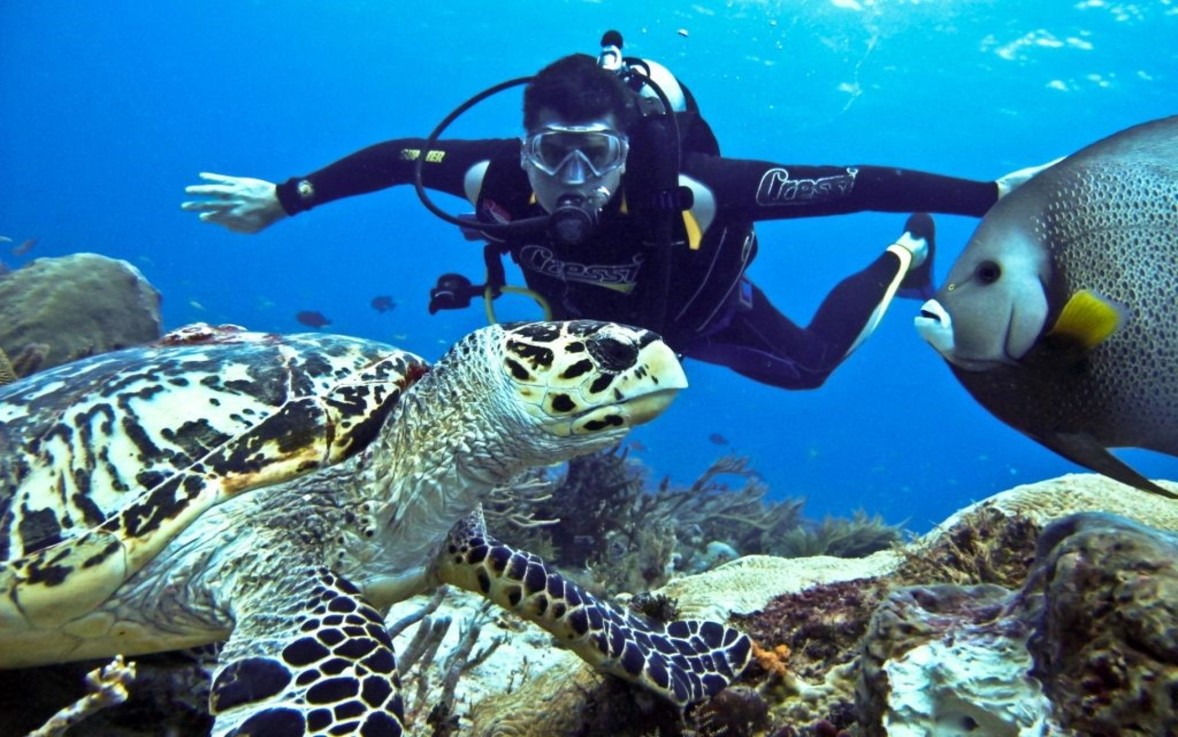 Explore Port Blaire & Havelock Deluxe Package  (MTV164)