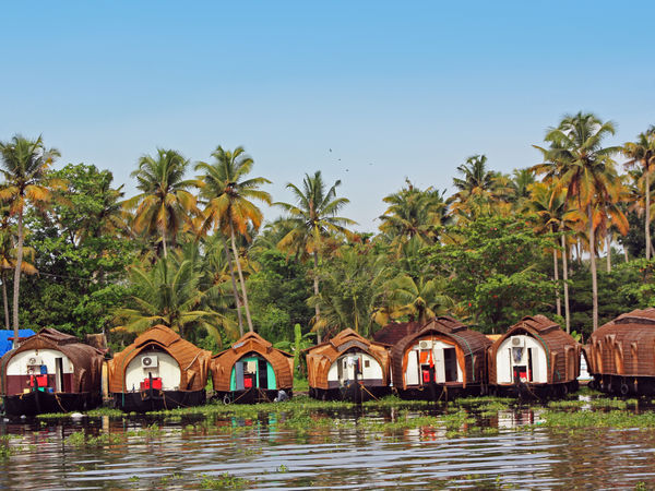 The Splendour Of Kerala !    (MTV241)