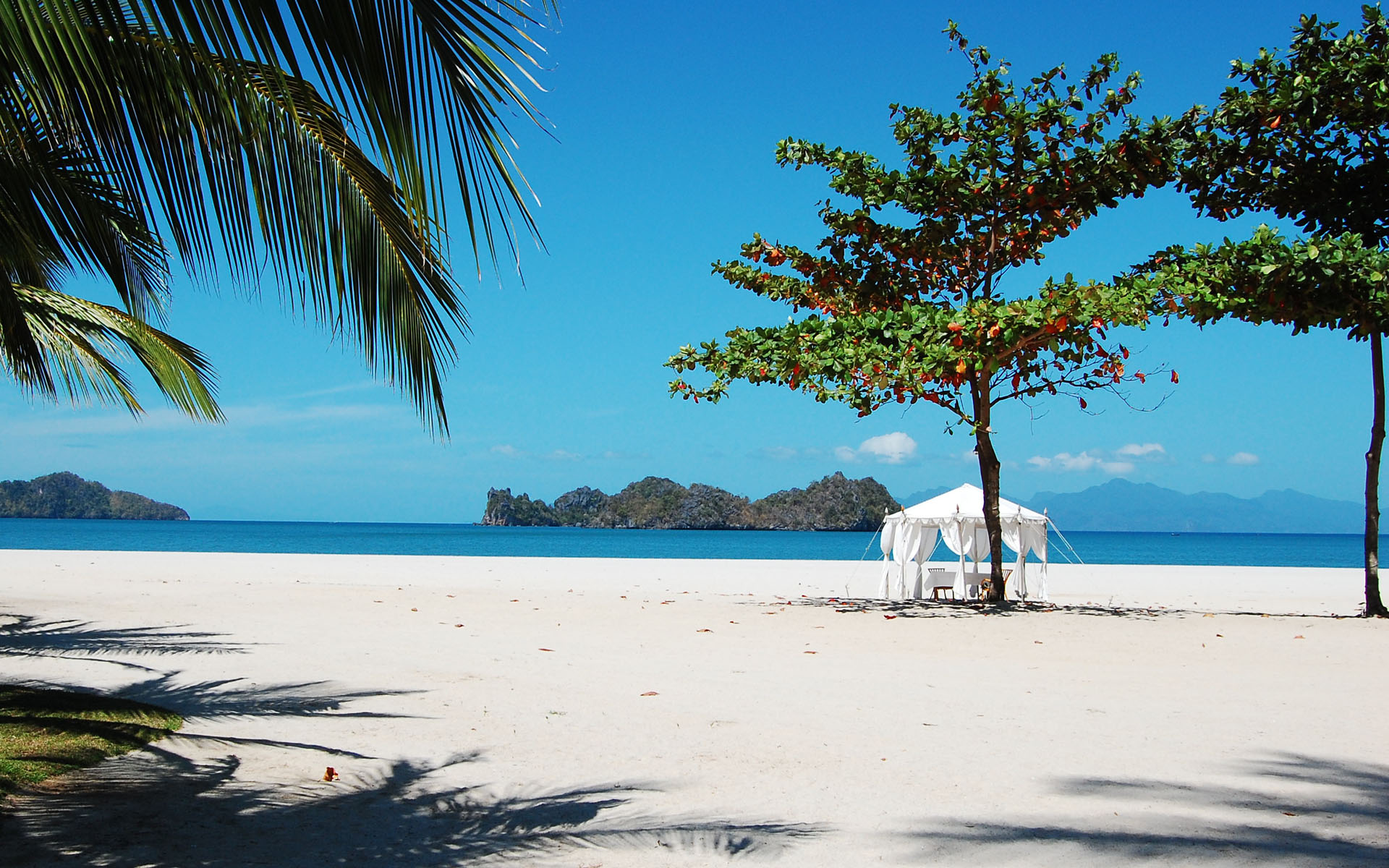 Andaman Special !  (MTV174)