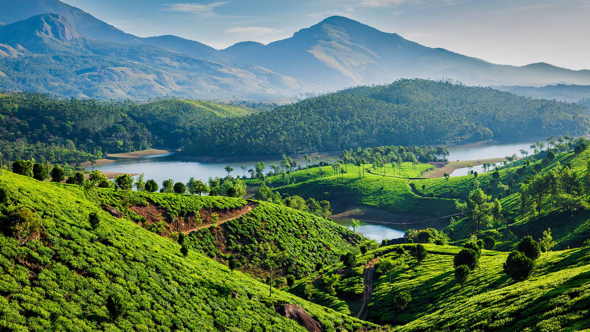 Kerala Escapade Deluxe Package  (MTV230)