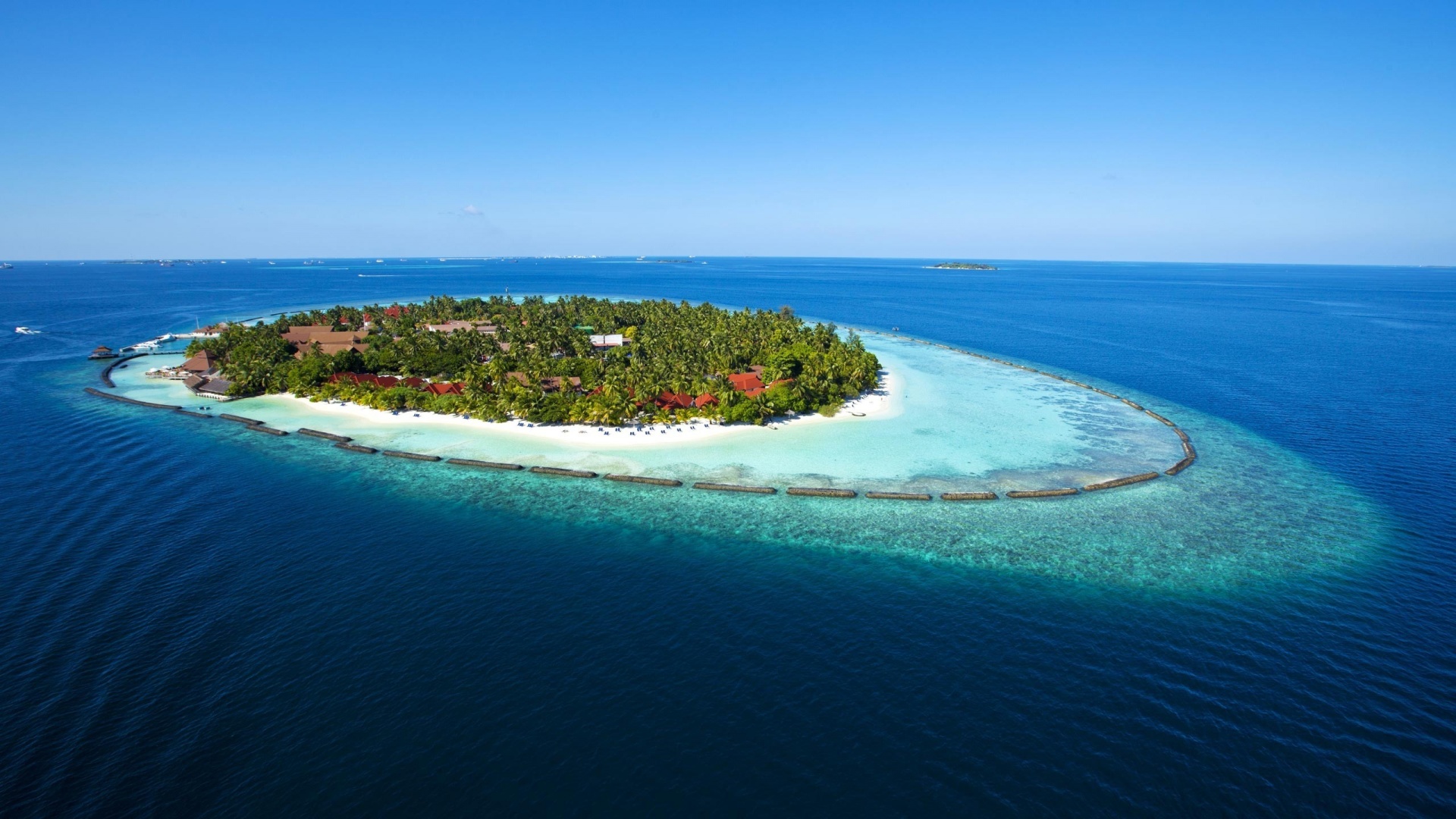Havelock Neil Exotica ! Luxury Package  (MTV188)