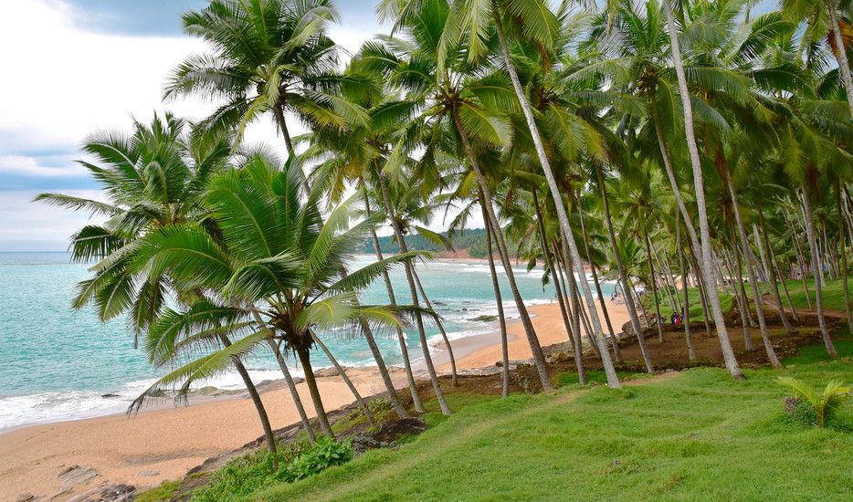 The Splendour Of Kerala Luxury Package !    (MTV243)