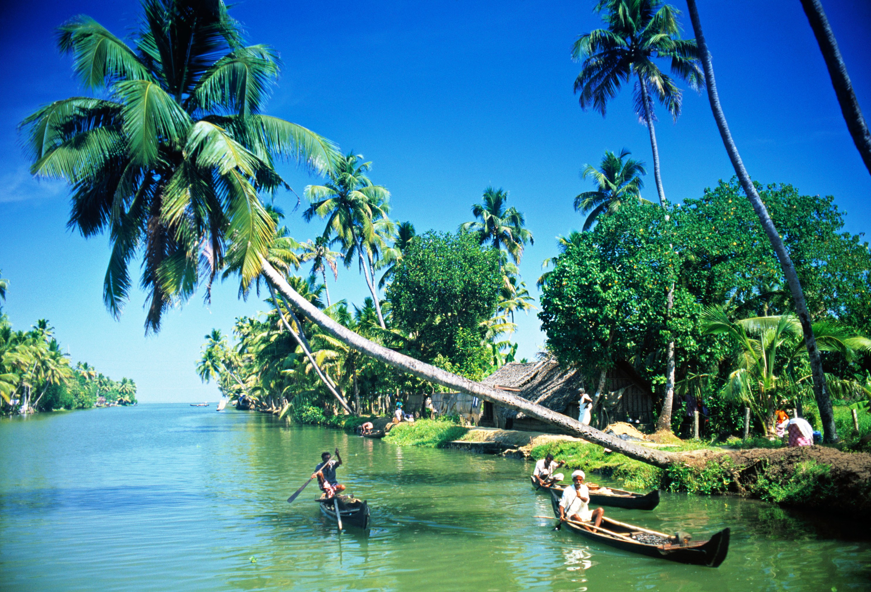 Wonders of Kerala Luxury Package    (MTV222)