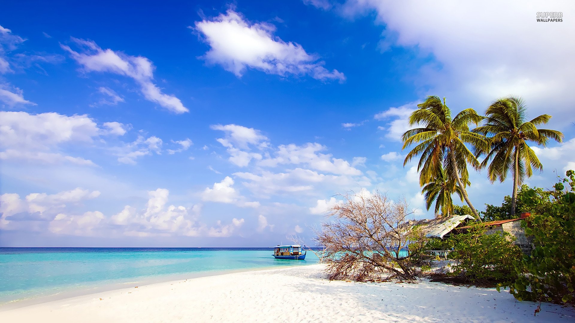 Andaman Special Deluxe Package  (MTV175)