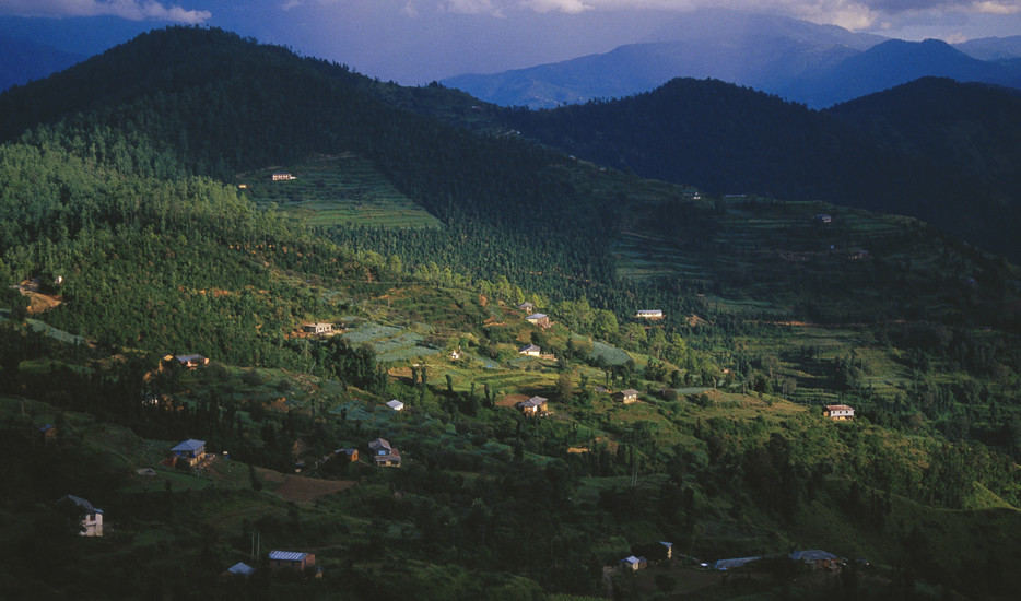 Amazing Shimla - Kullu - Manali Tour  Package by Car  (MTV134)
