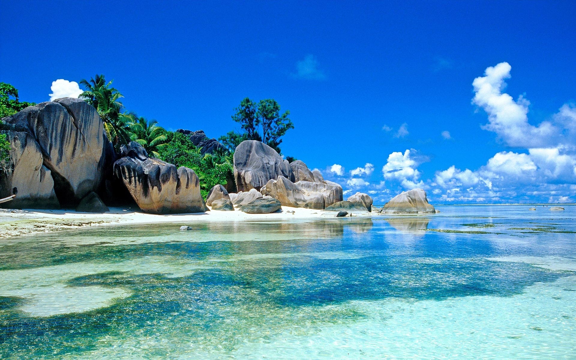 Luxury Bali  5 Star Package   (MTV126)